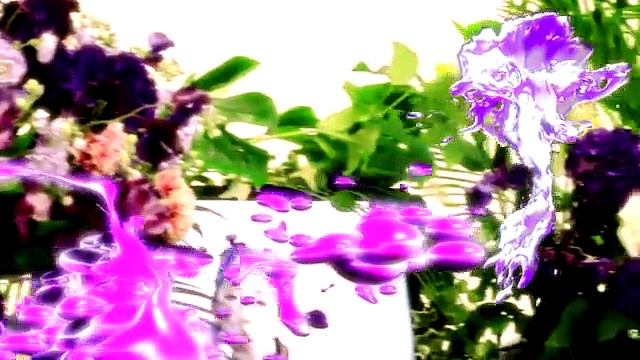 New Especia: “Secret Jive”