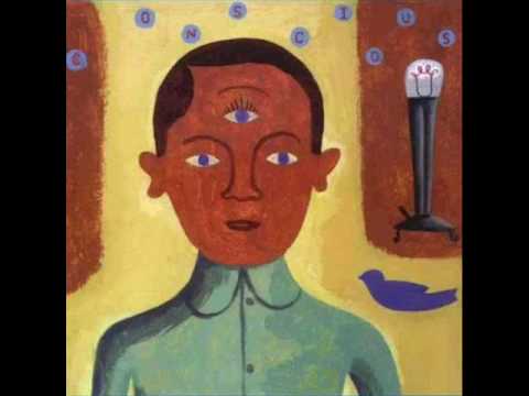 Sun Gets In Your Eyes: Seebirds