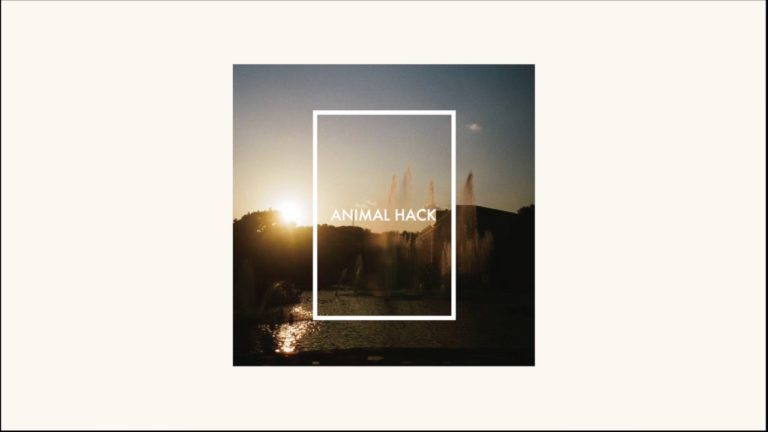 Into It: Animal Hack’s “Plastic Night”