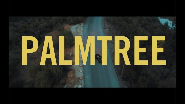 New Yurufuwa Gang: “Palm Tree”