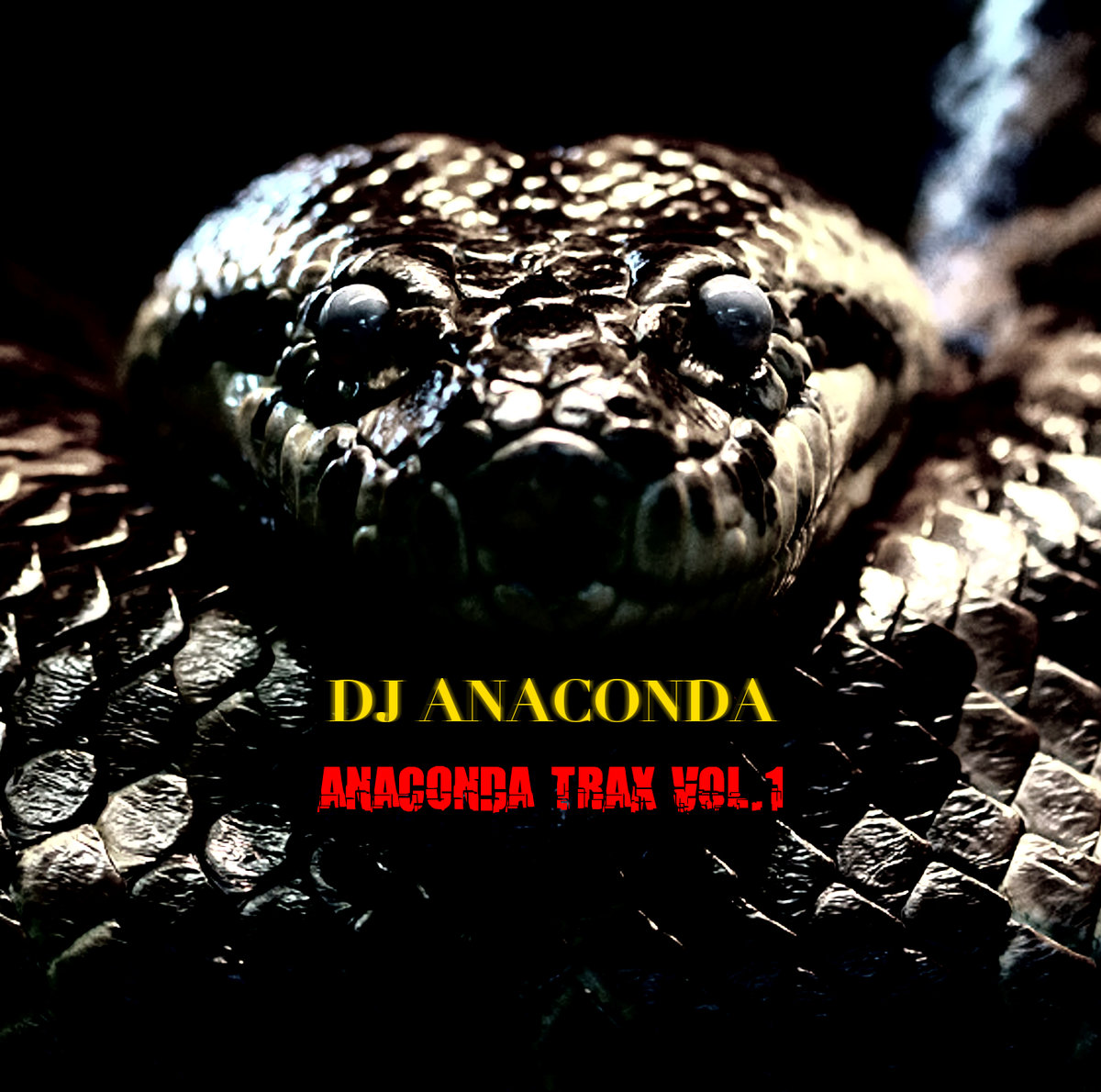 anaconda song
